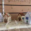 IMG_5929