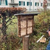 Wildbienenhotel